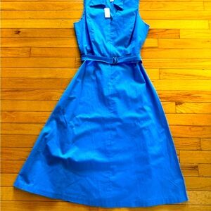 Talbots Vibrant Blue Belted Dress 8 Petite NWT